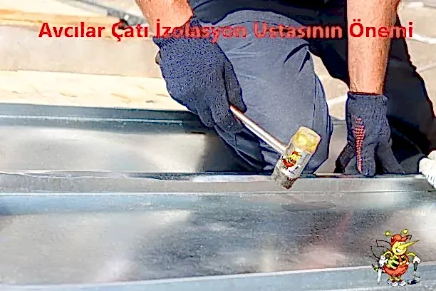 Avcılar çatı izolasyon ustasının Önemi