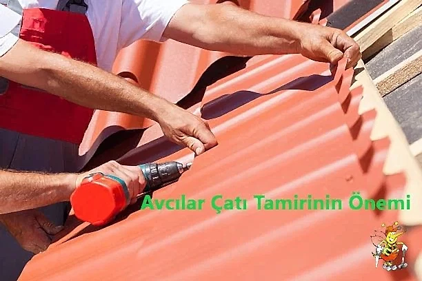 Avcılar Çatı Tamiri Önemi