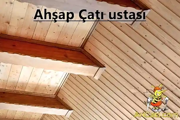 Ahşap çatı yapımı-Ahşap Çatı Ustası, hizmetlerimiz