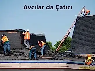 Avcılar da Çatıcı