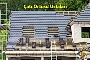 Çatı Örtüsü