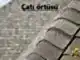 Çatı örtüsü -Çatı Örtüsü Ustası, hizmetlerimiz