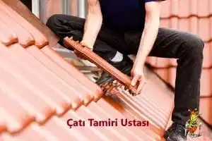 Çatı tamiri Onarımı