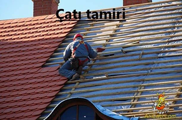 Çatı tamiri-Çatı tamiri ustası, hizmetlerimiz