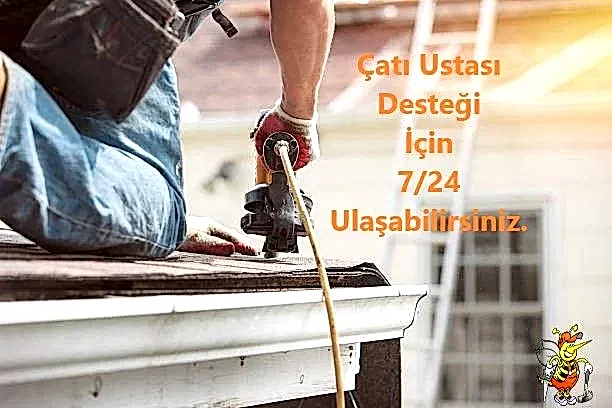 Çatı Ustası Desteği