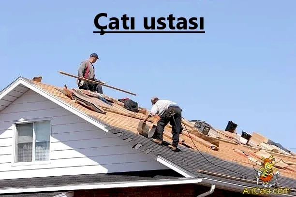 Çatı ustası-Arı Çatı ustası, hizmetlerimiz, bölgelerimiz
