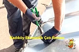 Kadıköy Ekonomik Çatı firmaları