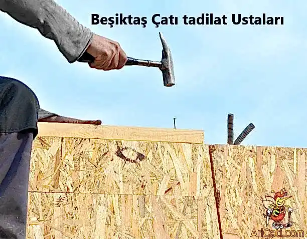 Beşiktaş Çatı Ustası