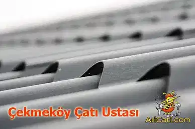 Çekmeköy Çatı Ustası-Çekmeköy çatıcı