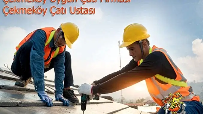 Çekmeköy uygun çatı firması
