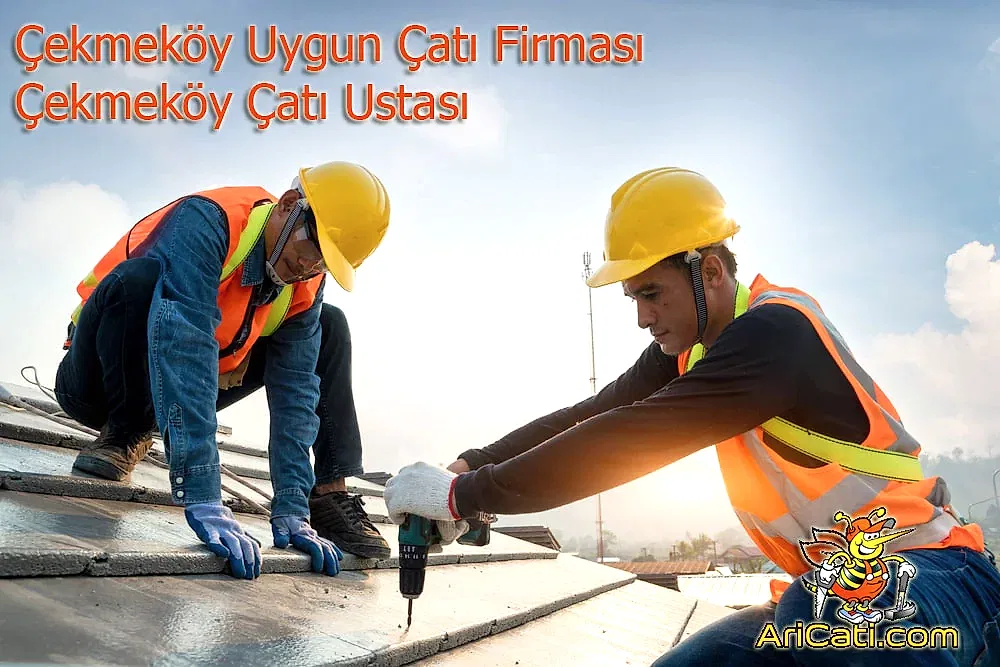 Çekmeköy uygun çatı firması