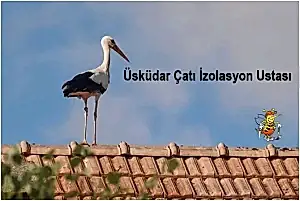 Üsküdar çatı İzolasyon ustası, Üsküdar izolasyoncu,çatı izolasyon yapımı