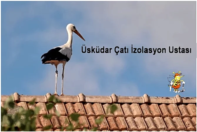 Üsküdar çatı İzolasyon ustası, Üsküdar izolasyoncu,çatı izolasyon yapımı