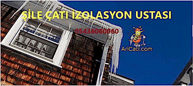 Şile Çatı İzolasyon Ustası