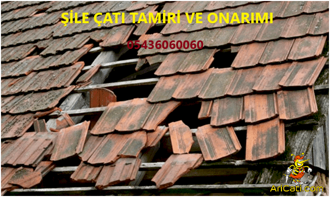 Şile çatı tamiri, Şile çatı onarma, Şile çatı tamirat ustası, Çatı tamiri yapam firmalar Şile 