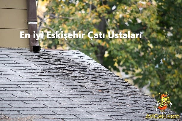 Eskişehir Çatı Ustaları, Eskişehir çatıcı ustası 