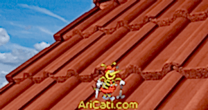 Sultangazi çatı Ustası