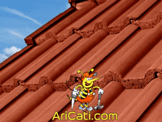 Sultangazi çatı Ustası