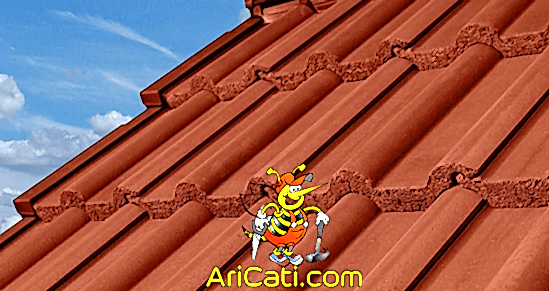 Sultangazi çatı Ustası