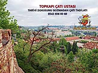 Topkapı çatı Ustası