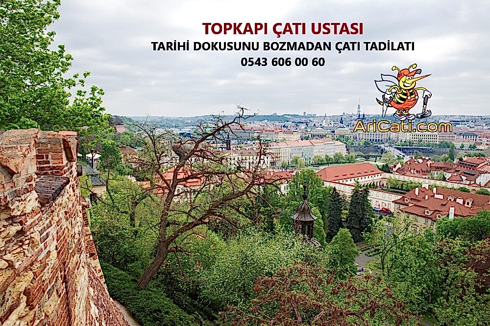 Topkapı çatı Ustası